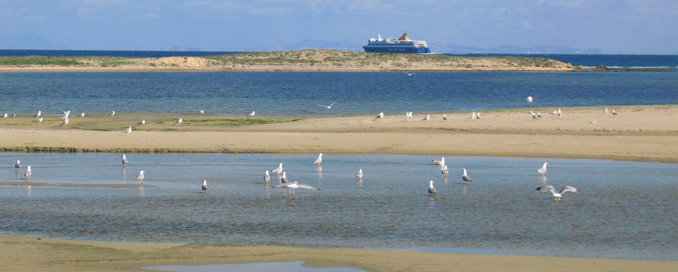 Naxos Island